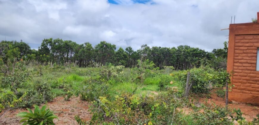 Casa – Bioconstrução – IBC – Alto Paraíso de Goiás – Chapada dos Veadeiros