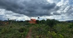 Casa – Bioconstrução – IBC – Alto Paraíso de Goiás – Chapada dos Veadeiros