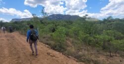 Propriedade de 1 a 3 Alqueires na Comunidade do Sertão – Chapada dos Veadeiros Propriedade de 1 a 3 Alqueires na Comunidade do Sertão – Chapada dos Veadeiros