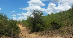 Propriedade de 1 a 3 Alqueires na Comunidade do Sertão – Chapada dos Veadeiros Propriedade de 1 a 3 Alqueires na Comunidade do Sertão – Chapada dos Veadeiros