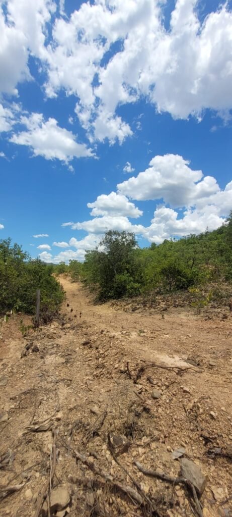 Propriedade de 1 a 3 Alqueires na Comunidade do Sertão – Chapada dos Veadeiros