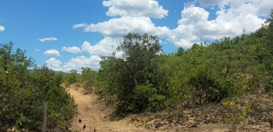 Propriedade de 1 a 3 Alqueires na Comunidade do Sertão – Chapada dos Veadeiros
