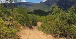 Propriedade de 1 a 3 Alqueires na Comunidade do Sertão – Chapada dos Veadeiros Propriedade de 1 a 3 Alqueires na Comunidade do Sertão – Chapada dos Veadeiros