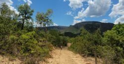 Propriedade de 1 a 3 Alqueires na Comunidade do Sertão – Chapada dos Veadeiros Propriedade de 1 a 3 Alqueires na Comunidade do Sertão – Chapada dos Veadeiros