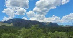 Propriedade de 1 a 3 Alqueires na Comunidade do Sertão – Chapada dos Veadeiros Propriedade de 1 a 3 Alqueires na Comunidade do Sertão – Chapada dos Veadeiros