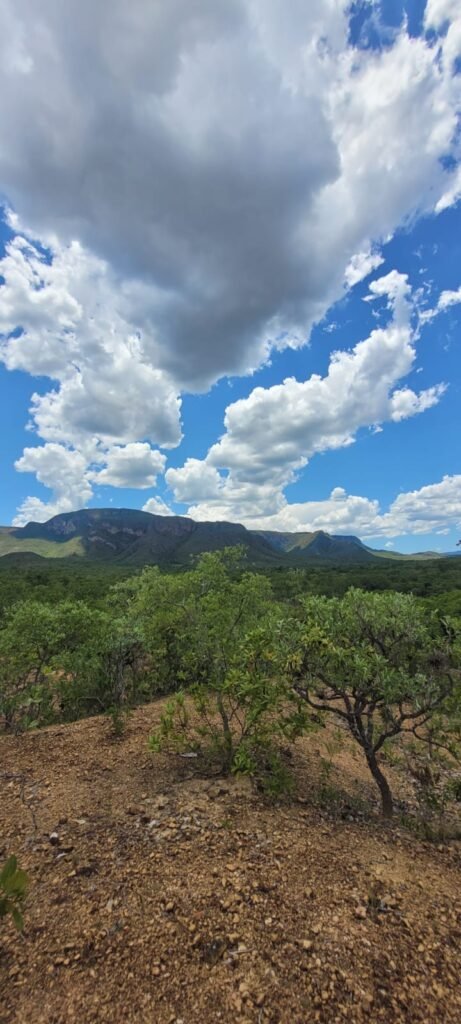 Propriedade de 1 a 3 Alqueires na Comunidade do Sertão – Chapada dos Veadeiros