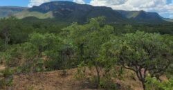 Propriedade de 1 a 3 Alqueires na Comunidade do Sertão – Chapada dos Veadeiros Propriedade de 1 a 3 Alqueires na Comunidade do Sertão – Chapada dos Veadeiros