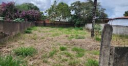 Lote 450m2 – Monte Sinai – Alto Paraíso – Chapada dos Veadeiros