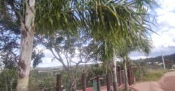 Lote 800m2 – Condomínio Vale dos Ets – Alto Paraíso de Goiás Lote 800m2 – Condomínio Vale dos Ets – Alto Paraíso de Goiás