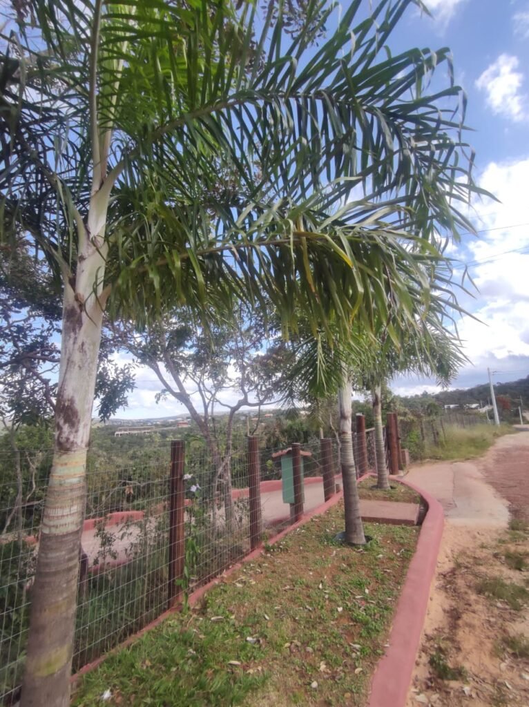 Lote 800m2 – Condomínio Vale dos Ets – Alto Paraíso de Goiás