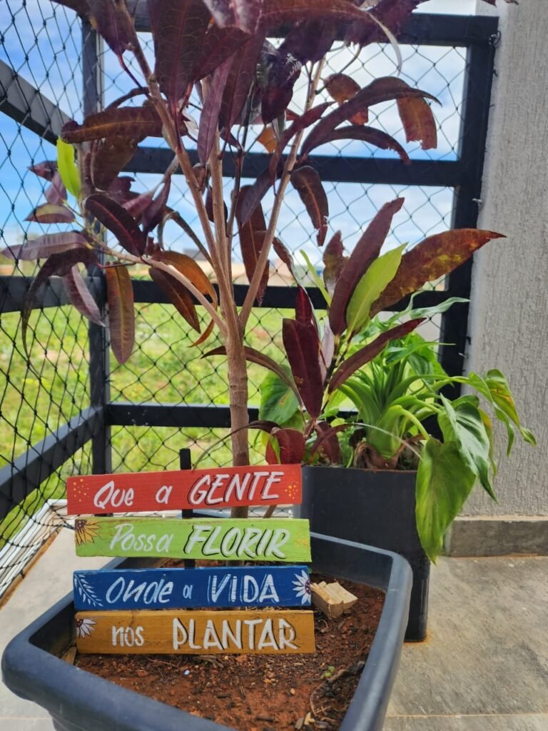 Pousada de Porteira Fechada – 7 Suítes – Eldorado – Alto Paraíso de Goiás