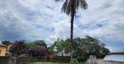 Lote 450m2 – Monte Sinai – Alto Paraíso – Chapada dos Veadeiros