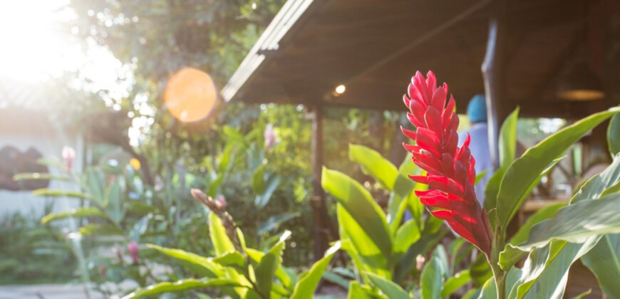 Espaço único em Alto Paraíso, Chapada dos Veadeiros!