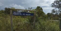 Chácara 4ha – Km 12 – Córrego – Alto Paraíso – Chapada dos Veadeiros Chácara 4ha – Km 12 – Córrego – Alto Paraíso – Chapada dos Veadeiros