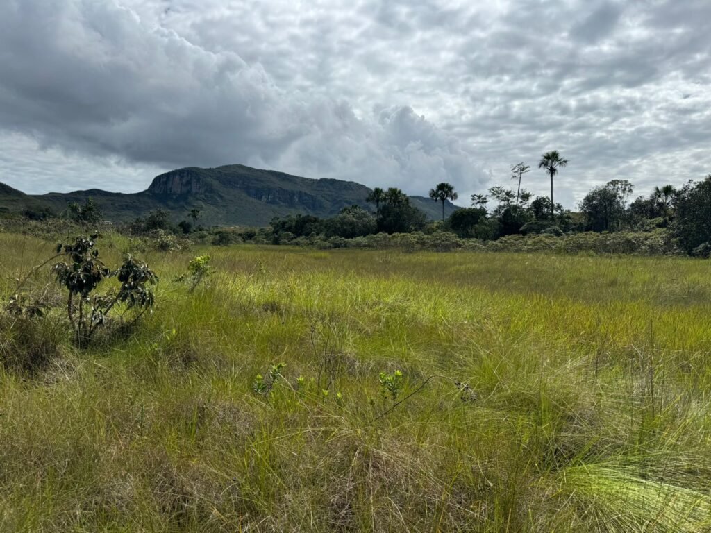Chácara 4ha – Paraíso dos Pandavas, Corrégo – Alto Paraíso de Goiás
