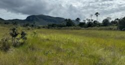 Chácara 4ha – Paraíso dos Pandavas, Corrégo – Alto Paraíso de Goiás Chácara 4ha – Paraíso dos Pandavas, Corrégo – Alto Paraíso de Goiás