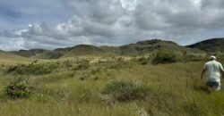 Chácara 4ha – Paraíso dos Pandavas, Corrégo – Alto Paraíso de Goiás Chácara 4ha – Paraíso dos Pandavas, Corrégo – Alto Paraíso de Goiás