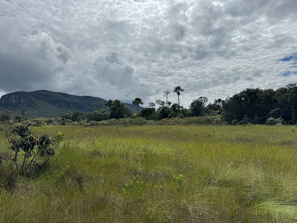 Chácara 4ha – Paraíso dos Pandavas, Corrégo – Alto Paraíso de Goiás