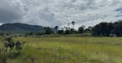 Chácara 4ha – Paraíso dos Pandavas, Corrégo – Alto Paraíso de Goiás Chácara 4ha – Paraíso dos Pandavas, Corrégo – Alto Paraíso de Goiás