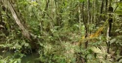 Chácara 4ha – Km 12 – Córrego – Alto Paraíso – Chapada dos Veadeiros Chácara 4ha – Km 12 – Córrego – Alto Paraíso – Chapada dos Veadeiros