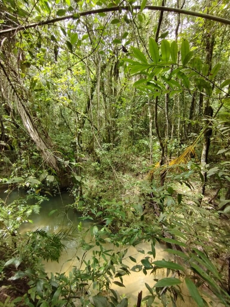 Chácara 4ha – Km 12 – Córrego – Alto Paraíso – Chapada dos Veadeiros