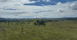 Chácara 4ha – Paraíso dos Pandavas, Corrégo – Alto Paraíso de Goiás Chácara 4ha – Paraíso dos Pandavas, Corrégo – Alto Paraíso de Goiás