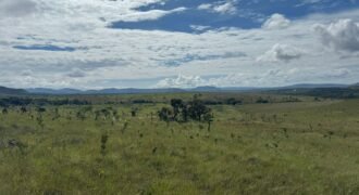 Chácara 4ha – Paraíso dos Pandavas, Corrégo – Alto Paraíso de Goiás Chácara 4ha – Paraíso dos Pandavas, Corrégo – Alto Paraíso de Goiás