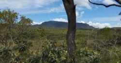 Chácara 4ha – Km 12 – Córrego – Alto Paraíso – Chapada dos Veadeiros Chácara 4ha – Km 12 – Córrego – Alto Paraíso – Chapada dos Veadeiros