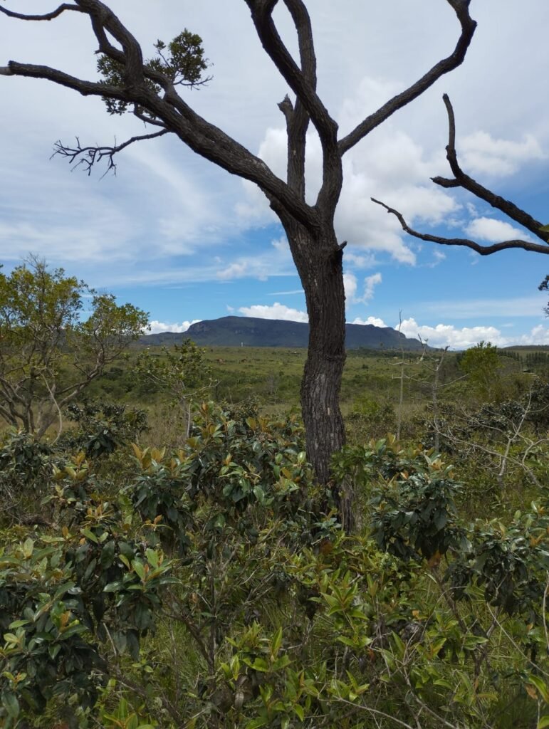 Chácara 4ha – Km 12 – Córrego – Alto Paraíso – Chapada dos Veadeiros