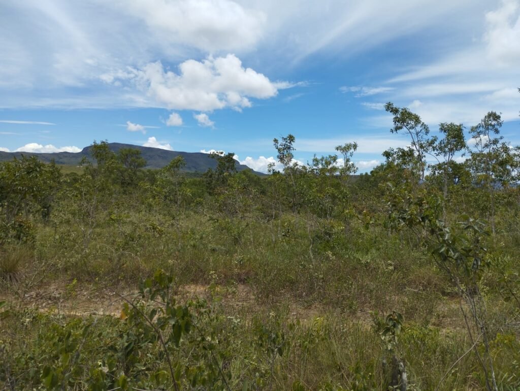 Chácara 4ha – Km 12 – Córrego – Alto Paraíso – Chapada dos Veadeiros