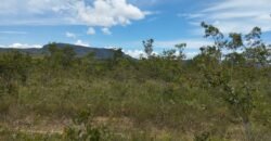 Chácara 4ha – Km 12 – Córrego – Alto Paraíso – Chapada dos Veadeiros Chácara 4ha – Km 12 – Córrego – Alto Paraíso – Chapada dos Veadeiros