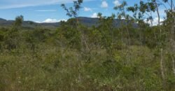 Chácara 4ha – Km 12 – Córrego – Alto Paraíso – Chapada dos Veadeiros Chácara 4ha – Km 12 – Córrego – Alto Paraíso – Chapada dos Veadeiros