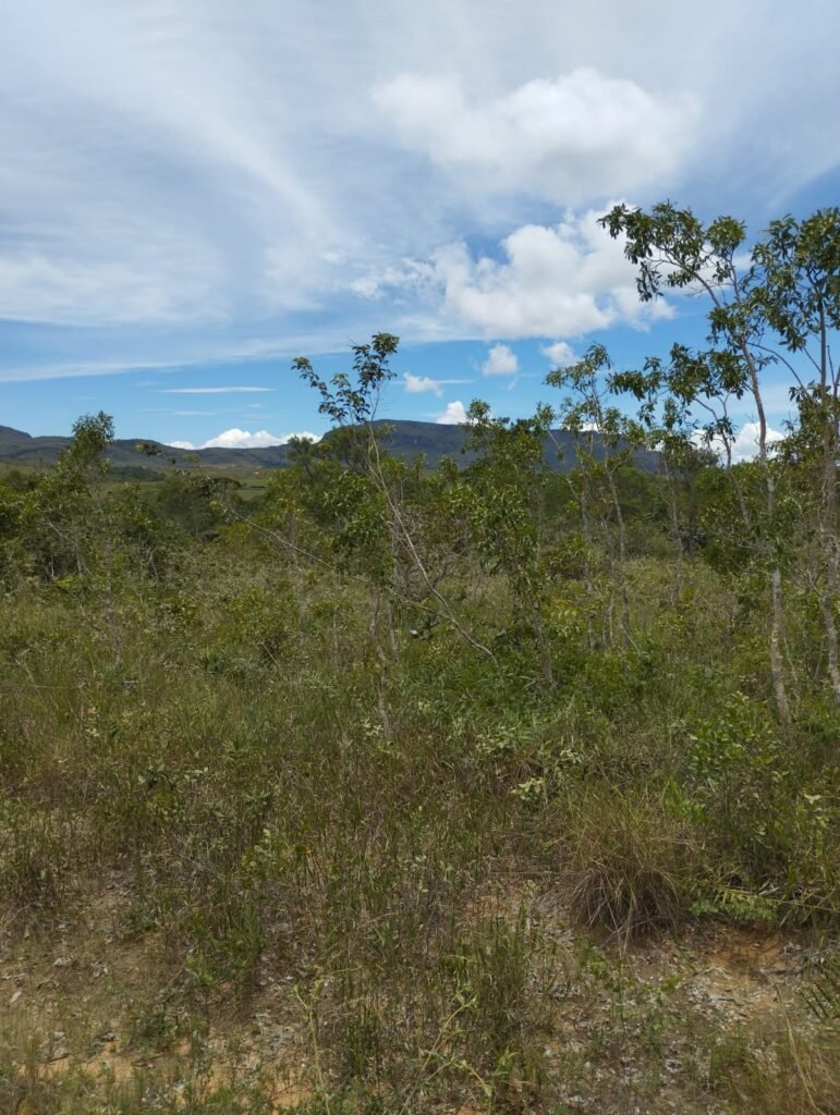 Chácara 4ha – Km 12 – Córrego – Alto Paraíso – Chapada dos Veadeiros