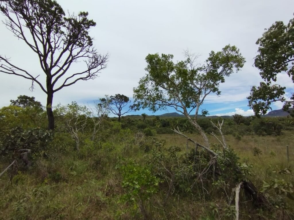 Chácara 4ha – Km 12 – Córrego – Alto Paraíso – Chapada dos Veadeiros