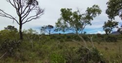 Chácara 4ha – Km 12 – Córrego – Alto Paraíso – Chapada dos Veadeiros Chácara 4ha – Km 12 – Córrego – Alto Paraíso – Chapada dos Veadeiros