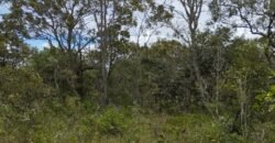 Chácara 4ha – Km 12 – Córrego – Alto Paraíso – Chapada dos Veadeiros Chácara 4ha – Km 12 – Córrego – Alto Paraíso – Chapada dos Veadeiros