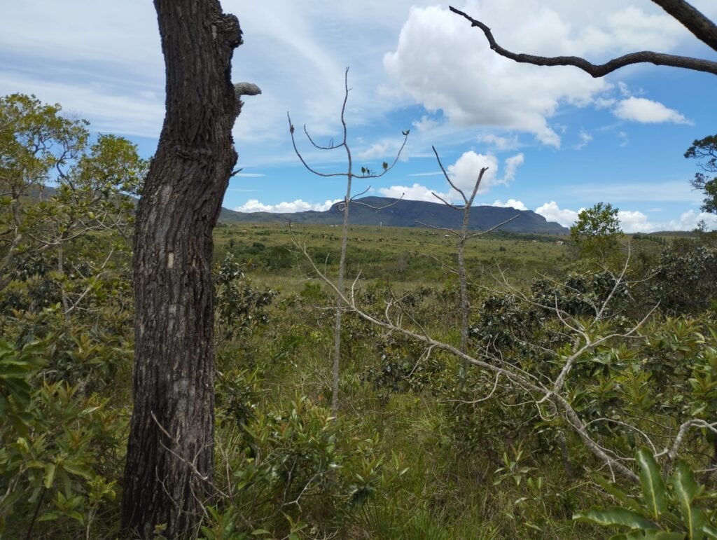 Chácara 4ha – Km 12 – Córrego – Alto Paraíso – Chapada dos Veadeiros
