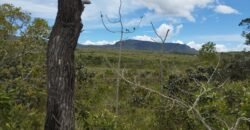 Chácara 4ha – Km 12 – Córrego – Alto Paraíso – Chapada dos Veadeiros Chácara 4ha – Km 12 – Córrego – Alto Paraíso – Chapada dos Veadeiros