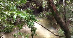 Chácara 4ha – Km 12 – Córrego – Alto Paraíso – Chapada dos Veadeiros Chácara 4ha – Km 12 – Córrego – Alto Paraíso – Chapada dos Veadeiros