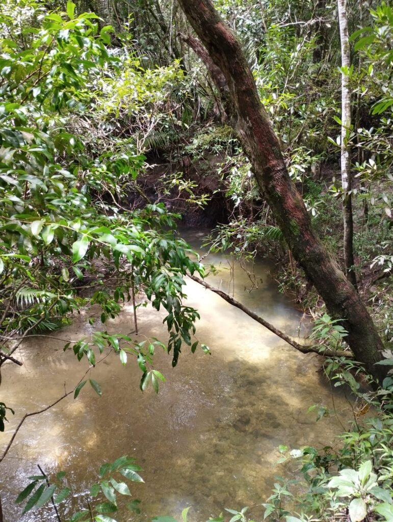 Chácara 4ha – Km 12 – Córrego – Alto Paraíso – Chapada dos Veadeiros