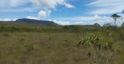 Chácara 4ha – Km 12 – Córrego – Alto Paraíso – Chapada dos Veadeiros Chácara 4ha – Km 12 – Córrego – Alto Paraíso – Chapada dos Veadeiros