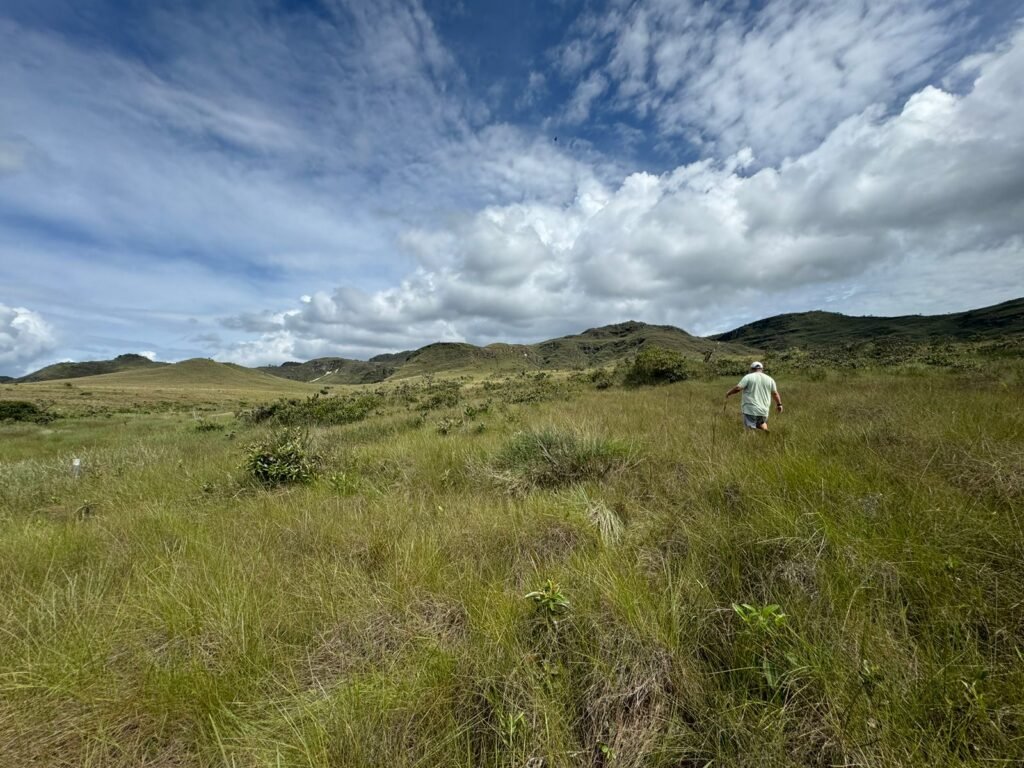 Chácara 4ha – Paraíso dos Pandavas, Corrégo – Alto Paraíso de Goiás