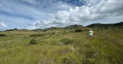 Chácara 4ha – Paraíso dos Pandavas, Corrégo – Alto Paraíso de Goiás Chácara 4ha – Paraíso dos Pandavas, Corrégo – Alto Paraíso de Goiás