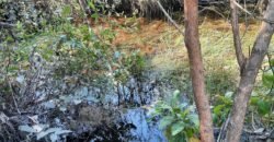 Chácara 4ha – Paraíso dos Pandavas, Corrégo – Alto Paraíso de Goiás Chácara 4ha – Paraíso dos Pandavas, Corrégo – Alto Paraíso de Goiás