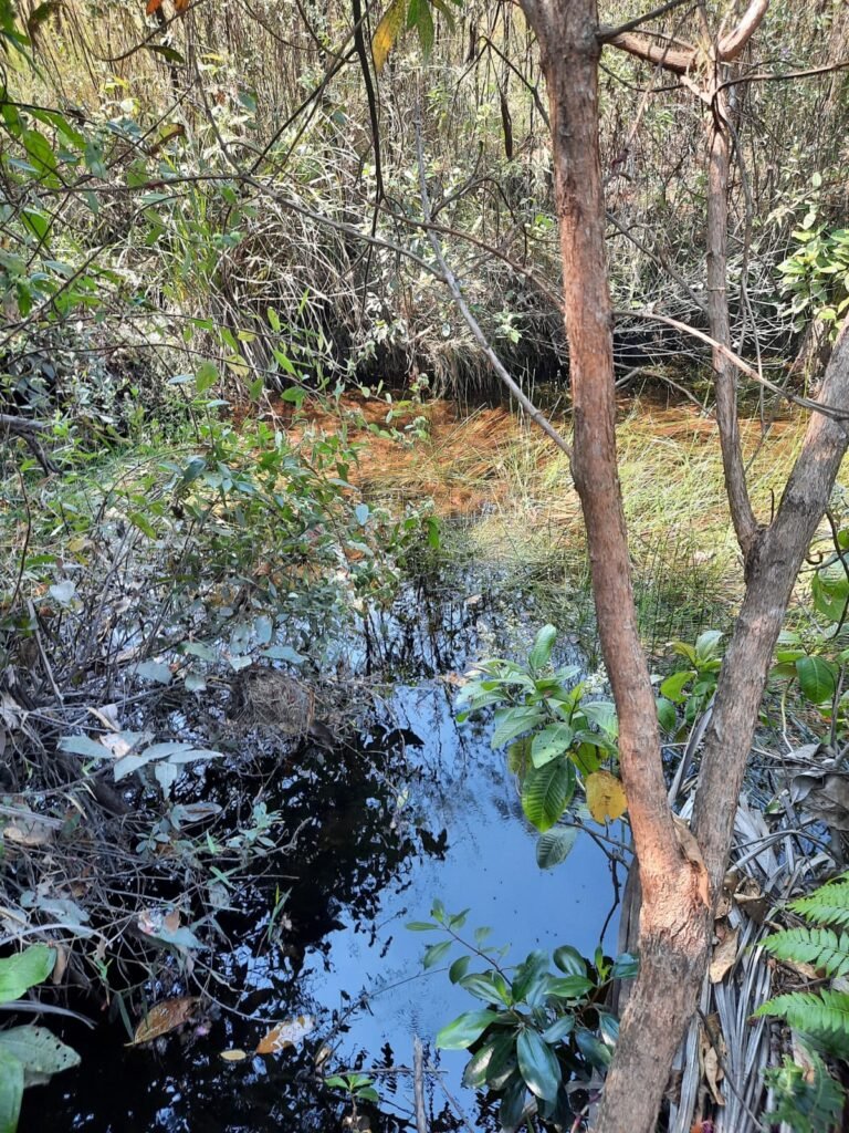 Chácara 4ha – Paraíso dos Pandavas, Corrégo – Alto Paraíso de Goiás
