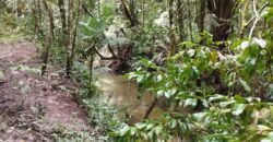 Chácara 4ha – Km 12 – Córrego – Alto Paraíso – Chapada dos Veadeiros Chácara 4ha – Km 12 – Córrego – Alto Paraíso – Chapada dos Veadeiros