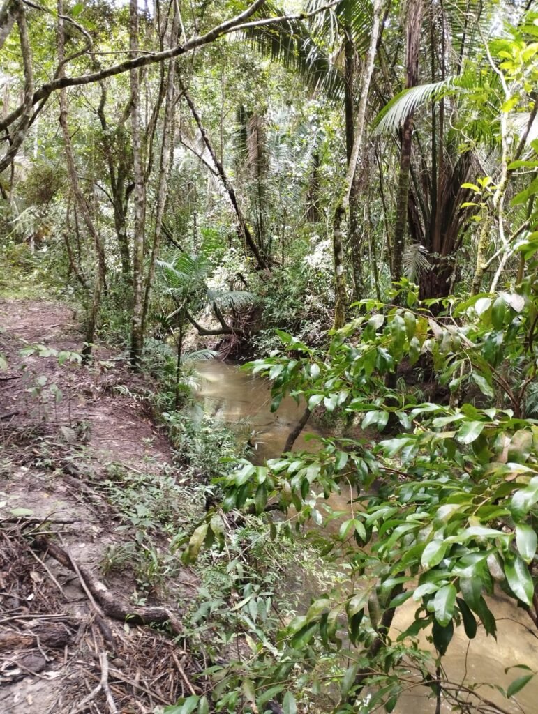 Chácara 4ha – Km 12 – Córrego – Alto Paraíso – Chapada dos Veadeiros