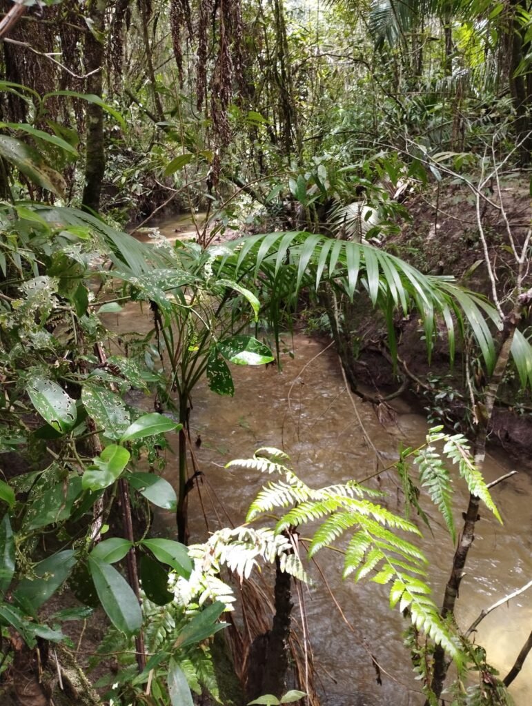 Chácara 4ha – Km 12 – Córrego – Alto Paraíso – Chapada dos Veadeiros