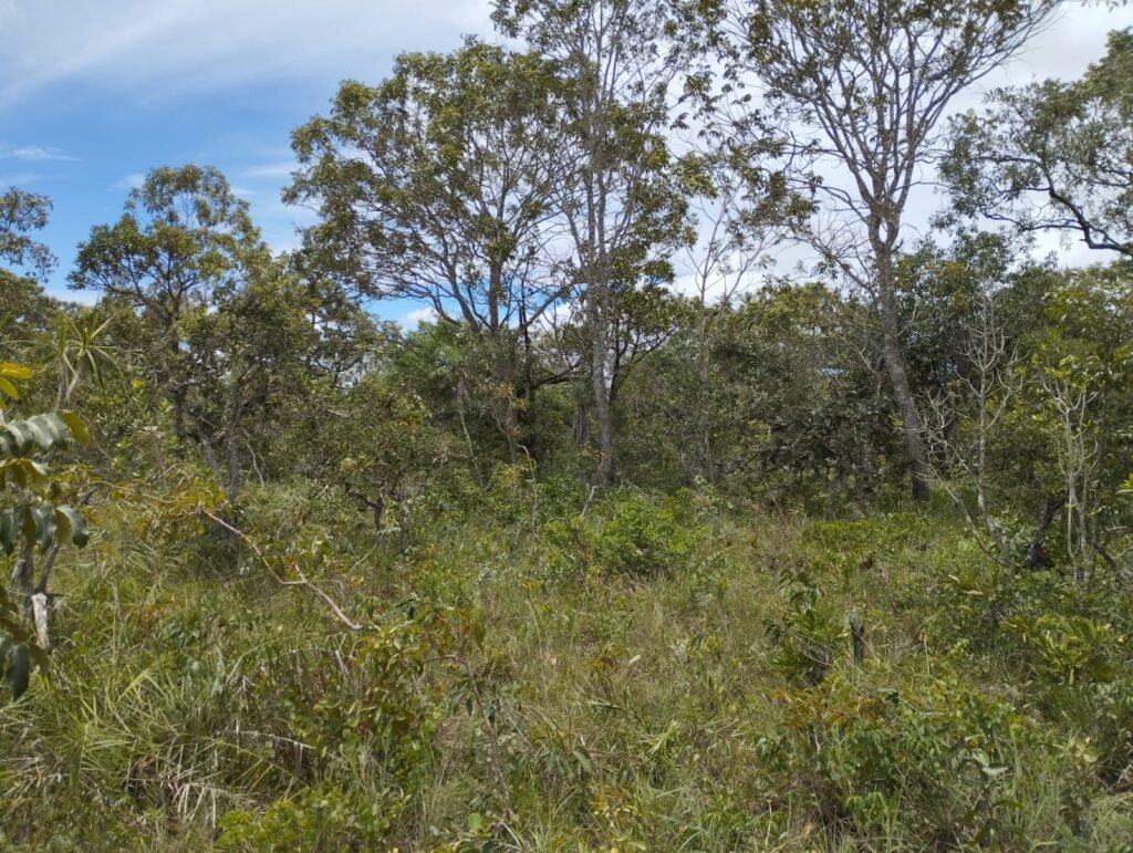 Chácara 4ha – Km 12 – Córrego – Alto Paraíso – Chapada dos Veadeiros