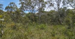 Chácara 4ha – Km 12 – Córrego – Alto Paraíso – Chapada dos Veadeiros Chácara 4ha – Km 12 – Córrego – Alto Paraíso – Chapada dos Veadeiros